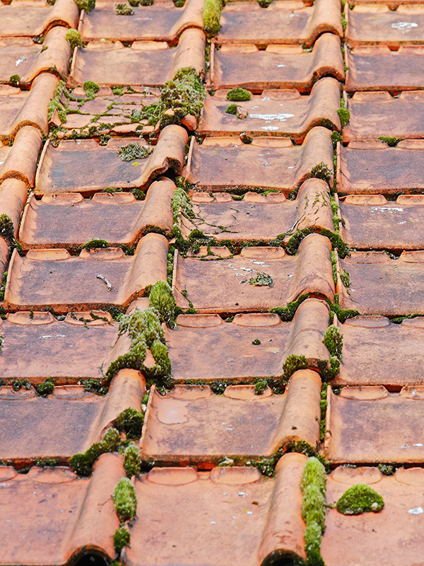 Démoussage et nettoyage de toiture en Seine-et-Marne (77) – DVR Couverture