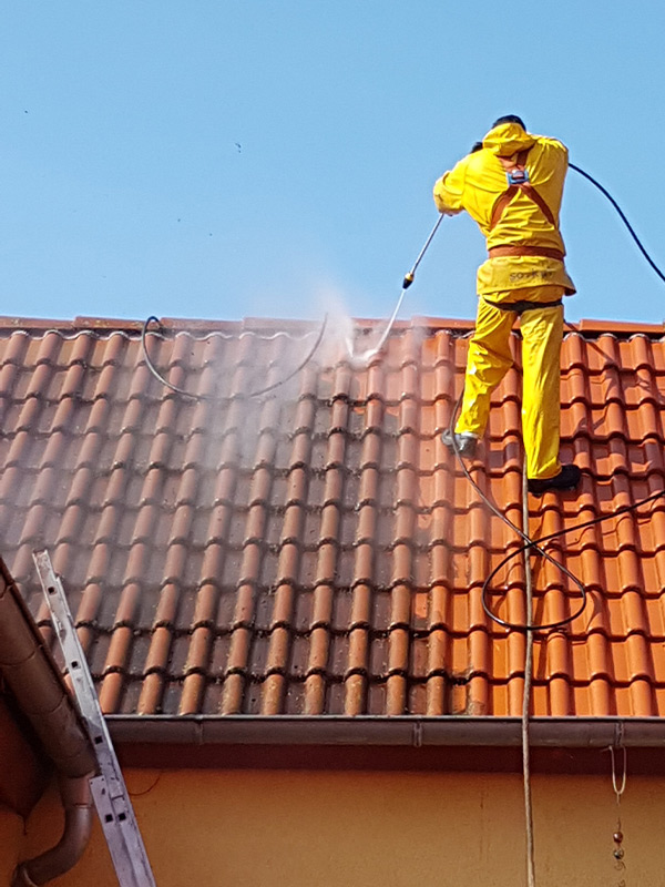 Préservez et embellissez votre toiture grâce à un nettoyage et un démoussage professionnels